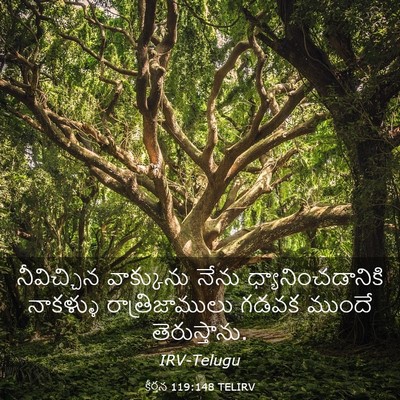 Picture 03 - కీర్తన 119:148 TELIRV - నీవిచ్చిన - Bible Verse Picture