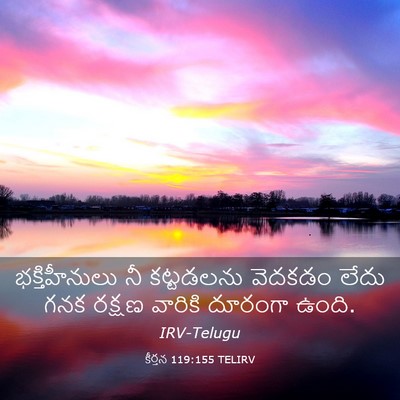 Picture 03 - కీర్తన 119:155 TELIRV - భక్తిహీనులు నీ - Bible Verse Picture