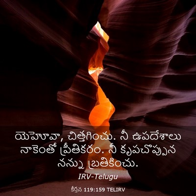 Picture 03 - కీర్తన 119:159 TELIRV - యెహోవా, - Bible Verse Picture