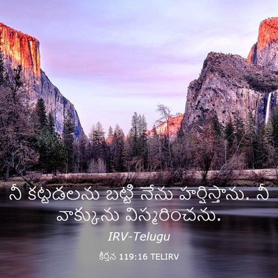 Picture 03 - కీర్తన 119:16 TELIRV - నీ కట్టడలను బట్టి - Bible Verse Picture