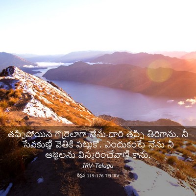 Picture 03 - కీర్తన 119:176 TELIRV - తప్పిపోయిన - Bible Verse Picture
