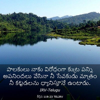 Picture 03 - కీర్తన 119:23 TELIRV - పాలకులు నాకు - Bible Verse Picture