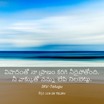 Picture 03 - కీర్తన 119:28 TELIRV - విషాదంతో నా - Bible Verse Picture