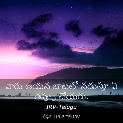 Picture 03 - కీర్తన 119:3 TELIRV - వారు ఆయన బాటలో - Bible Verse Picture