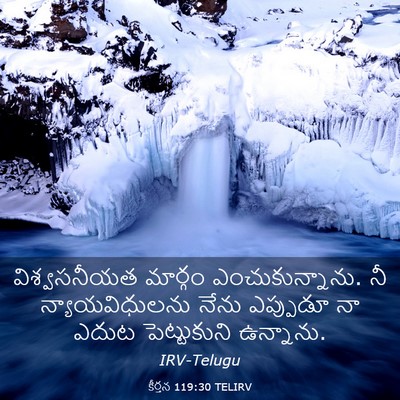 Picture 03 - కీర్తన 119:30 TELIRV - విశ్వసనీయత మార్గం - Bible Verse Picture