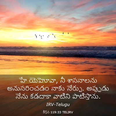 Picture 03 - కీర్తన 119:33 TELIRV - హే యెహోవా, నీ - Bible Verse Picture