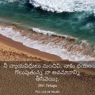 Picture 03 - కీర్తన 119:39 TELIRV - నీ న్యాయవిధులు - Bible Verse Picture
