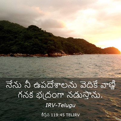 Picture 03 - కీర్తన 119:45 TELIRV - నేను నీ ఉపదేశాలను - Bible Verse Picture