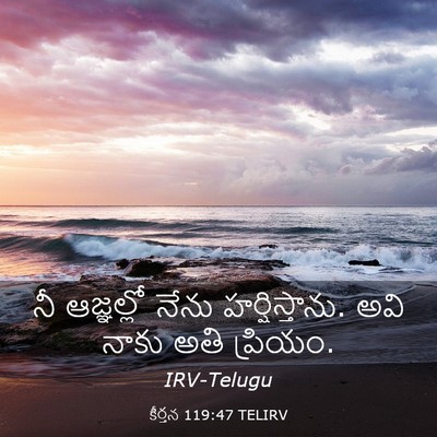 Picture 03 - కీర్తన 119:47 TELIRV - నీ ఆజ్ఞల్లో నేను - Bible Verse Picture