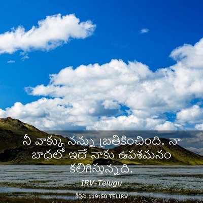 Picture 03 - కీర్తన 119:50 TELIRV - నీ వాక్కు నన్ను - Bible Verse Picture