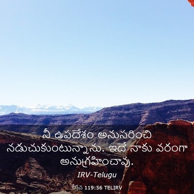 Picture 03 - కీర్తన 119:56 TELIRV - నీ ఉపదేశం - Bible Verse Picture