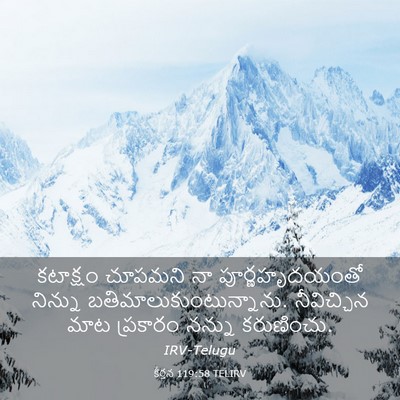 Picture 03 - కీర్తన 119:58 TELIRV - కటాక్షం చూపమని నా - Bible Verse Picture