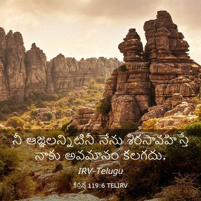 Picture 03 - కీర్తన 119:6 TELIRV - నీ ఆజ్ఞలన్నిటినీ - Bible Verse Picture