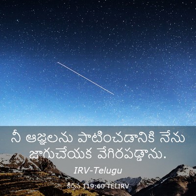 Picture 03 - కీర్తన 119:60 TELIRV - నీ ఆజ్ఞలను - Bible Verse Picture