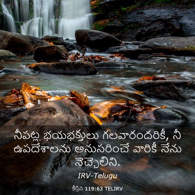 Picture 03 - కీర్తన 119:63 TELIRV - నీపట్ల భయభక్తులు - Bible Verse Picture