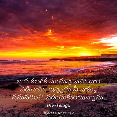 Picture 03 - కీర్తన 119:67 TELIRV - బాధ కలగక మునుపు - Bible Verse Picture