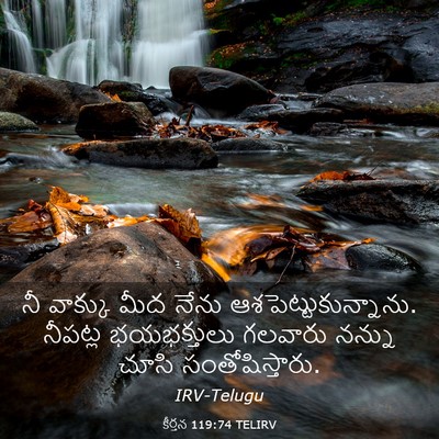 Picture 03 - కీర్తన 119:74 TELIRV - నీ వాక్కు మీద నేను - Bible Verse Picture