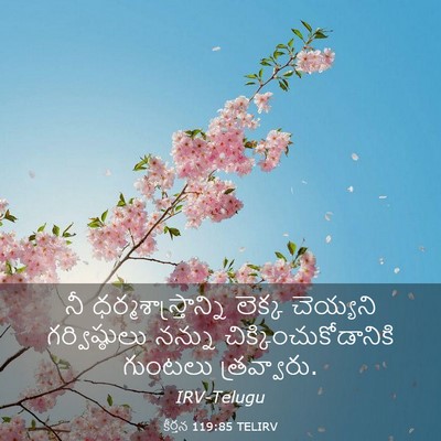 Picture 03 - కీర్తన 119:85 TELIRV - నీ - Bible Verse Picture