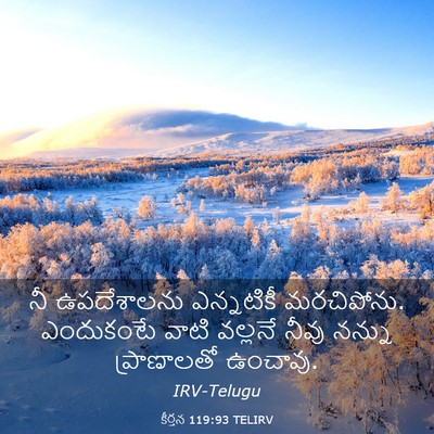Picture 03 - కీర్తన 119:93 TELIRV - నీ ఉపదేశాలను - Bible Verse Picture