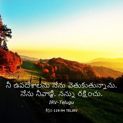 Picture 03 - కీర్తన 119:94 TELIRV - నీ ఉపదేశాలను నేను - Bible Verse Picture