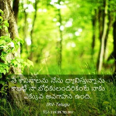Picture 03 - కీర్తన 119:99 TELIRV - నీ శాసనాలను నేను - Bible Verse Picture