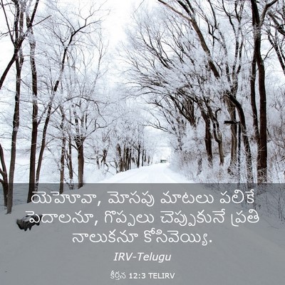 Picture 03 - కీర్తన 12:3 TELIRV - యెహోవా, మోసపు - Bible Verse Picture