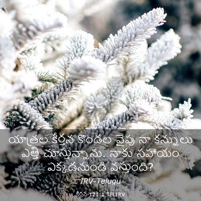 Picture 03 - కీర్తన 121:1 TELIRV - యాత్రల కీర్తన - Bible Verse Picture