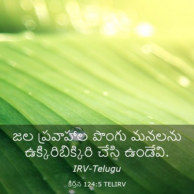 Picture 03 - కీర్తన 124:5 TELIRV - జల ప్రవాహాల పొంగు - Bible Verse Picture