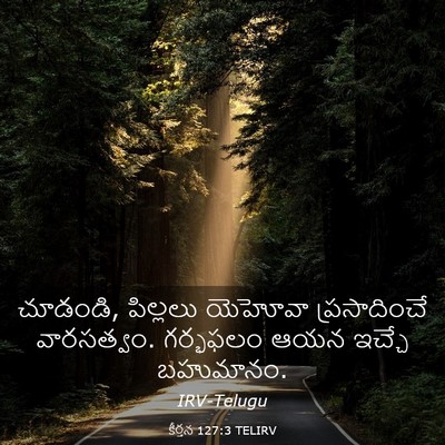 Picture 03 - కీర్తన 127:3 TELIRV - చూడండి, పిల్లలు - Bible Verse Picture