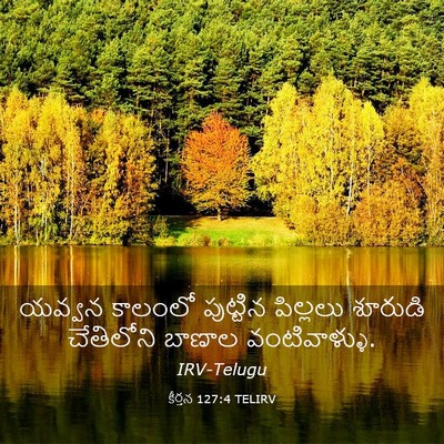 Picture 03 - కీర్తన 127:4 TELIRV - యవ్వన కాలంలో - Bible Verse Picture