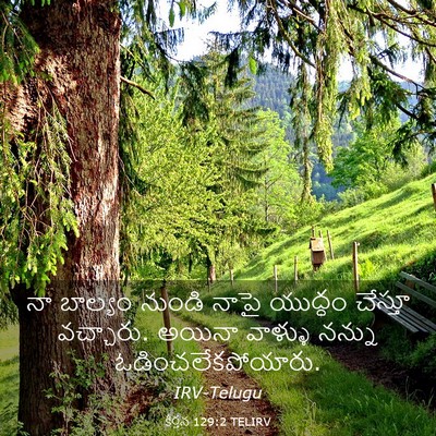 Picture 03 - కీర్తన 129:2 TELIRV - నా బాల్యం నుండి - Bible Verse Picture