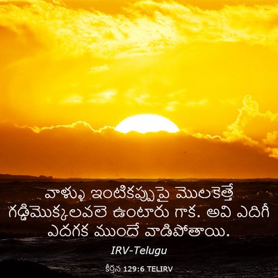 Picture 03 - కీర్తన 129:6 TELIRV - వాళ్ళు - Bible Verse Picture