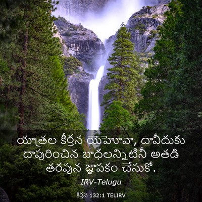 Picture 03 - కీర్తన 132:1 TELIRV - యాత్రల కీర్తన - Bible Verse Picture