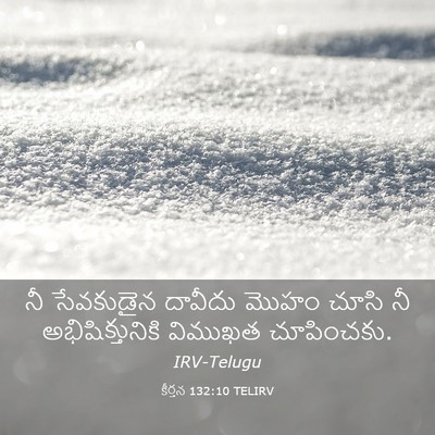 Picture 03 - కీర్తన 132:10 TELIRV - నీ సేవకుడైన - Bible Verse Picture