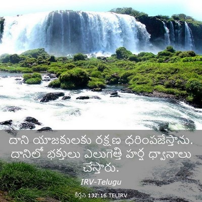 Picture 03 - కీర్తన 132:16 TELIRV - దాని యాజకులకు - Bible Verse Picture