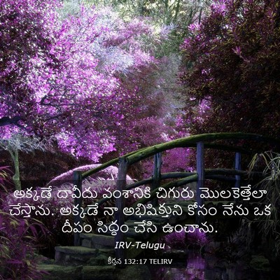 Picture 03 - కీర్తన 132:17 TELIRV - అక్కడే దావీదు - Bible Verse Picture