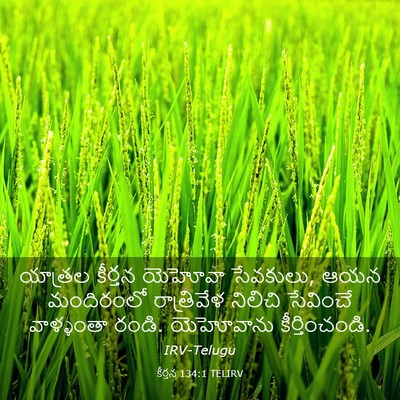 Picture 03 - కీర్తన 134:1 TELIRV - యాత్రల కీర్తన - Bible Verse Picture