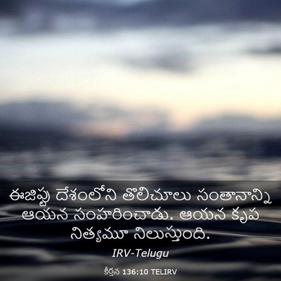 Picture 03 - కీర్తన 136:10 TELIRV - ఈజిప్టు దేశంలోని - Bible Verse Picture