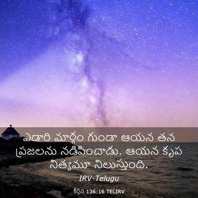 Picture 03 - కీర్తన 136:16 TELIRV - ఎడారి మార్గం - Bible Verse Picture