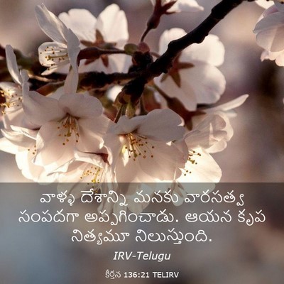 Picture 03 - కీర్తన 136:21 TELIRV - వాళ్ళ దేశాన్ని - Bible Verse Picture
