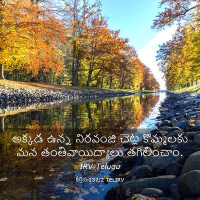 Picture 03 - కీర్తన 137:2 TELIRV - అక్కడ ఉన్న - Bible Verse Picture