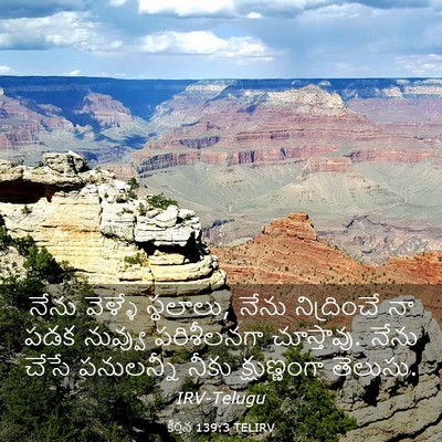 Picture 03 - కీర్తన 139:3 TELIRV - నేను వెళ్ళే - Bible Verse Picture