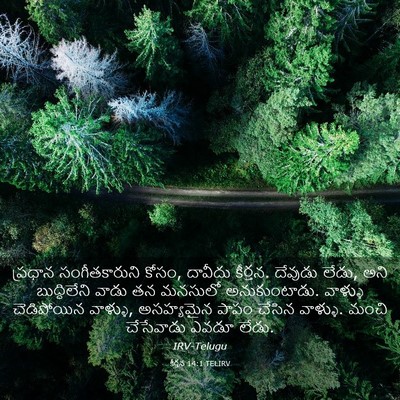 Picture 03 - కీర్తన 14:1 TELIRV - ప్రధాన - Bible Verse Picture