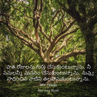 Picture 03 - కీర్తన 143:5 TELIRV - పాత రోజులను - Bible Verse Picture
