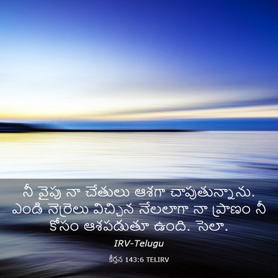 Picture 03 - కీర్తన 143:6 TELIRV - నీ వైపు నా చేతులు - Bible Verse Picture