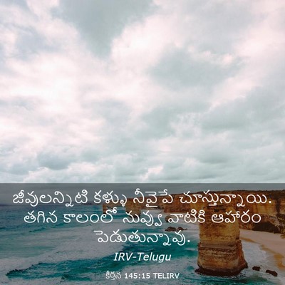 Picture 03 - కీర్తన 145:15 TELIRV - జీవులన్నిటి కళ్ళు - Bible Verse Picture