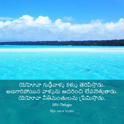 Picture 03 - కీర్తన 146:8 TELIRV - యెహోవా - Bible Verse Picture