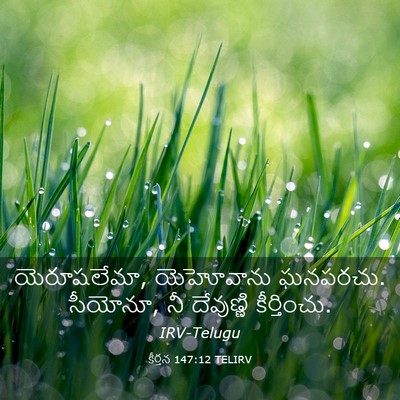 Picture 03 - కీర్తన 147:12 TELIRV - యెరూషలేమా, - Bible Verse Picture