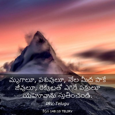Picture 03 - కీర్తన 148:10 TELIRV - మృగాలూ, పశువులూ, - Bible Verse Picture