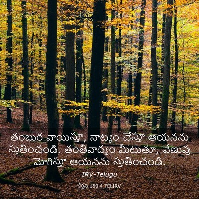 Picture 03 - కీర్తన 150:4 TELIRV - తంబుర వాయిస్తూ, - Bible Verse Picture
